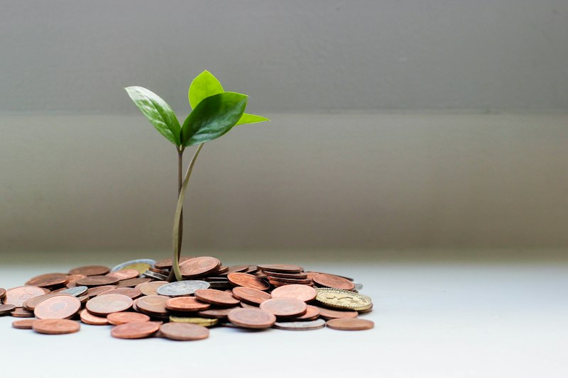 High yield savings jar growth